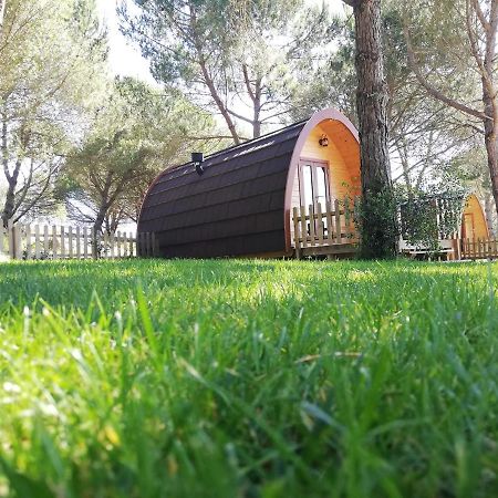 Glamping Sintra 호텔 외부 사진