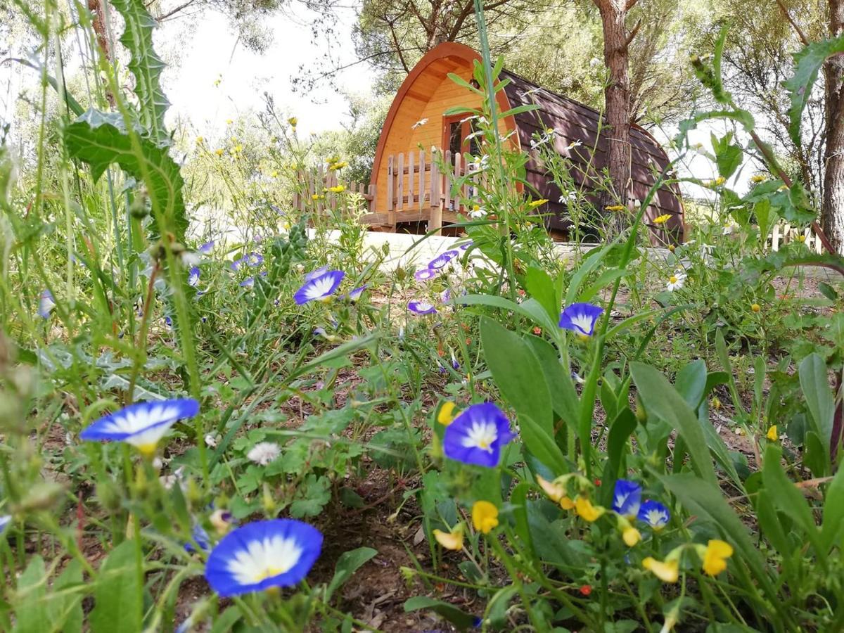 Glamping Sintra 호텔 외부 사진