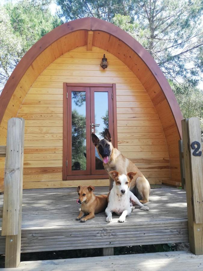 Glamping Sintra 호텔 외부 사진