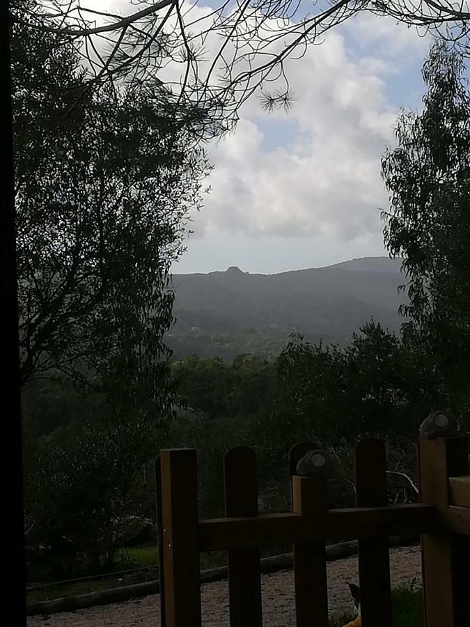Glamping Sintra 호텔 외부 사진